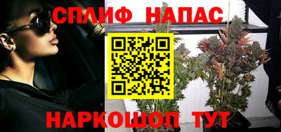 тгк Будённовск
