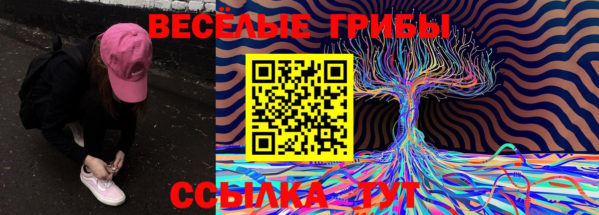 Галлюциногенные грибы GOLDEN TEACHER Ростов-на-Дону