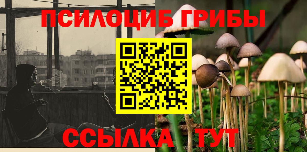 Ростов-на-Дону  Псилоцибиновые грибы ЛСД  Галлюциногенные грибы прущие грибы  наркошоп  Вход с VPN 